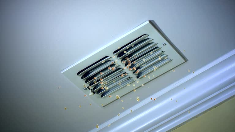 Best Affordable Duct Cleaning Services  in Moundville, AL